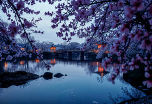 Printemps au Japon: les expériences incontournable entre Tokyo et Kyoto